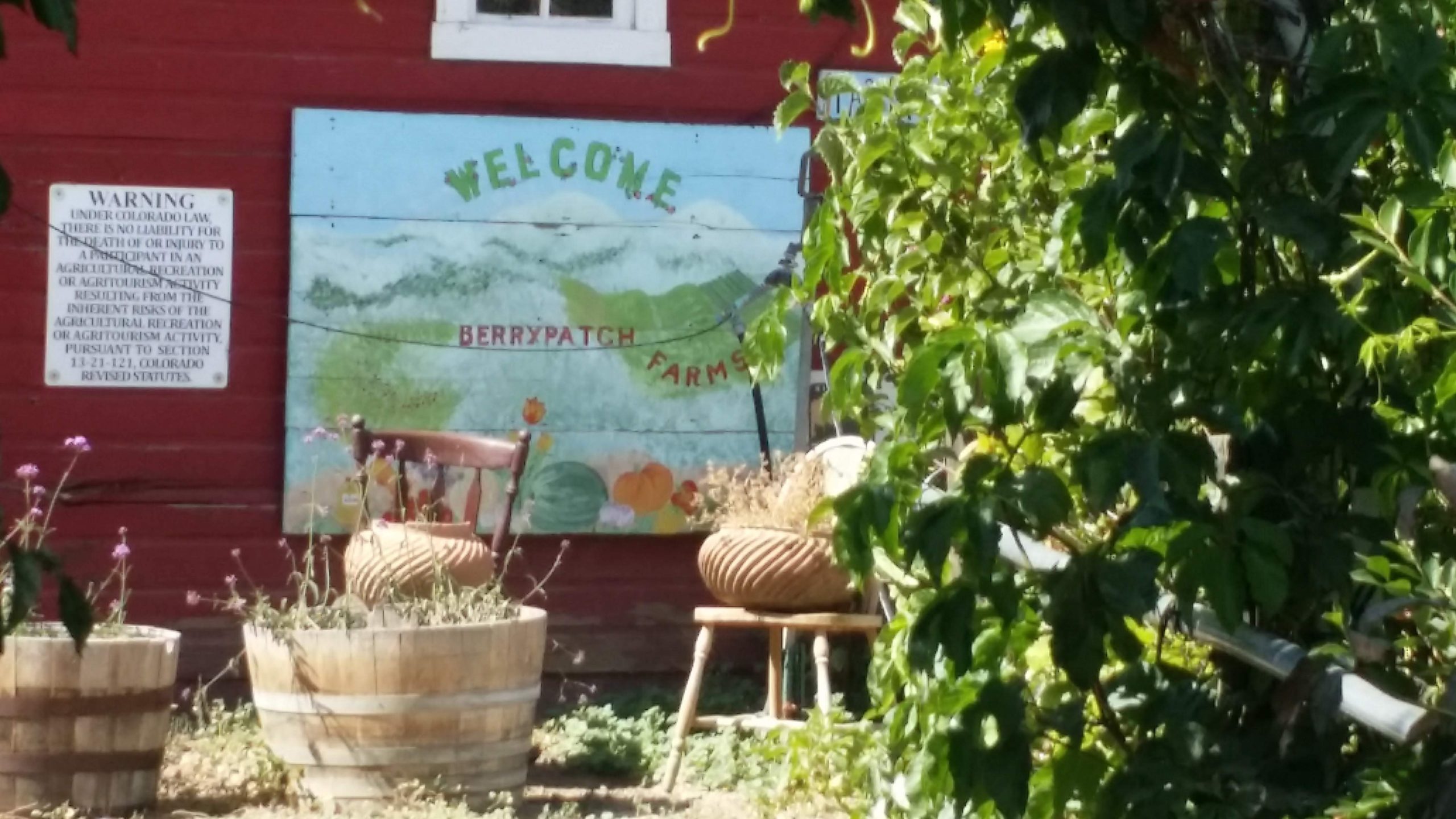 Berry Patch Farms in Brighton
